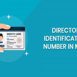 Director Identification Number ( DIN)