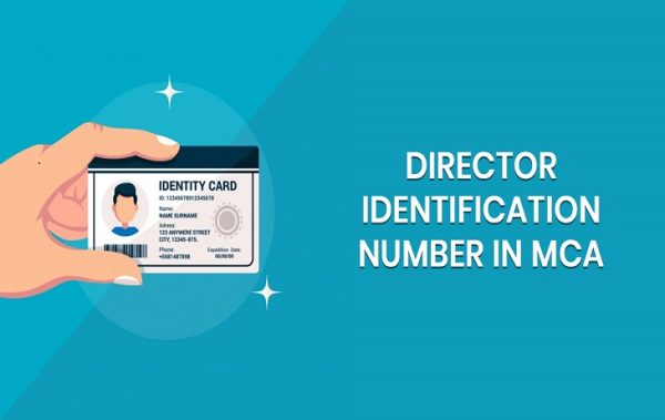 Director Identification Number ( DIN)
