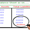 Balance Sheet Audit or Financial Audit by CA