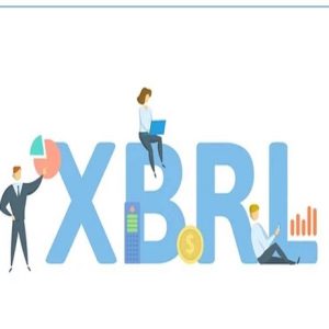 XBRL Conversion