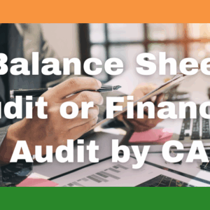 Balance Sheet Audit or Financial Audit by CA