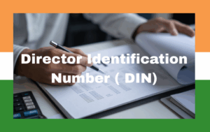 Director Identification Number ( DIN)