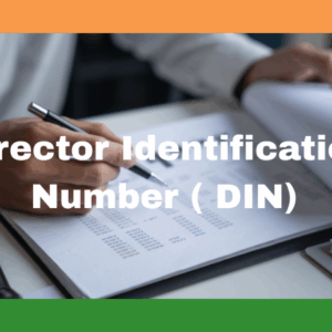 Director Identification Number ( DIN)