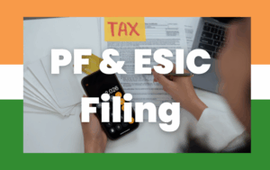 PF & ESIC Filing