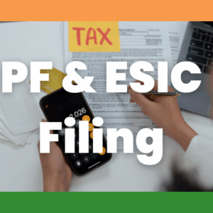 PF & ESIC Filing