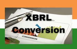 XBRL Conversion